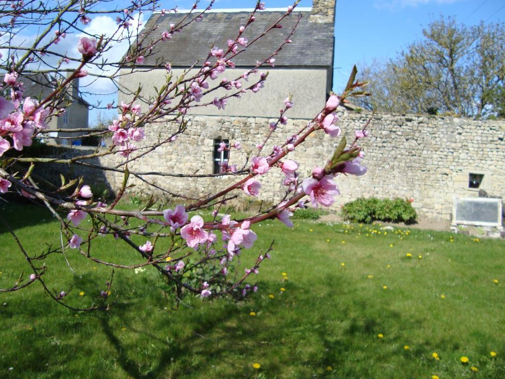 La Maison Claire Longueville  Luaran gambar