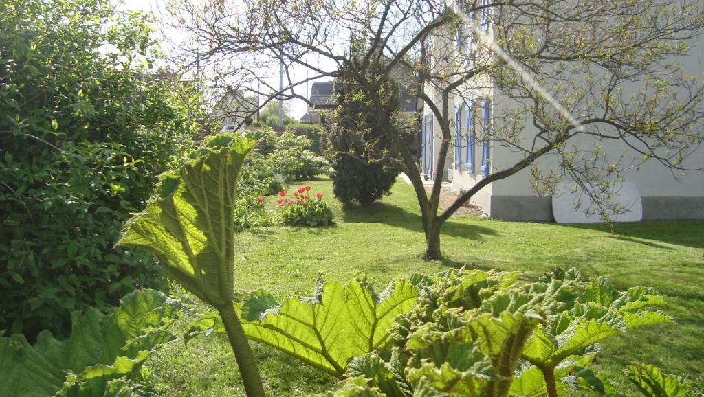 La Maison Claire Longueville  Luaran gambar